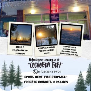 NEW_новый год 2026